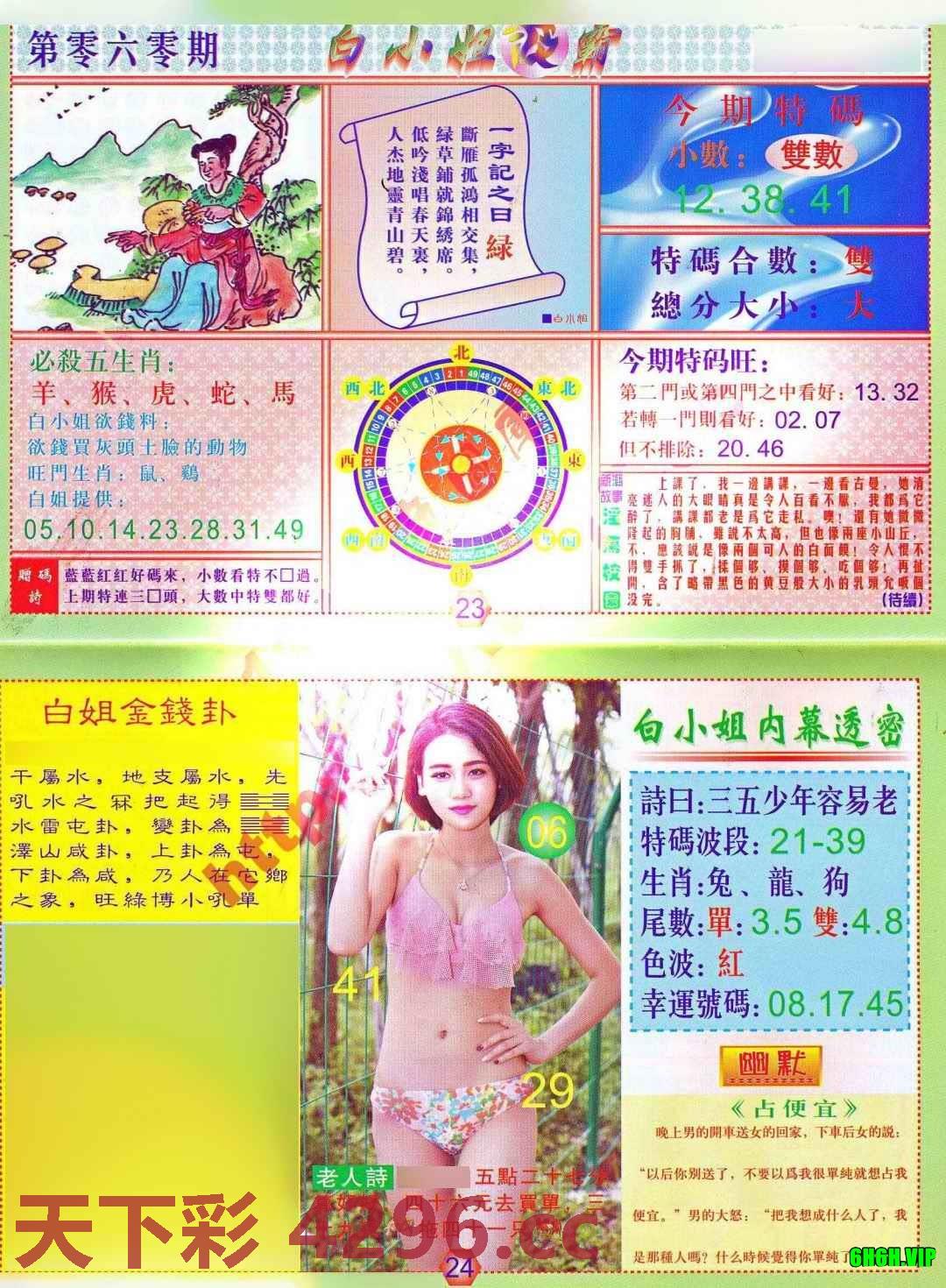 白小姐波霸